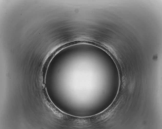 X0000089370931200706221218