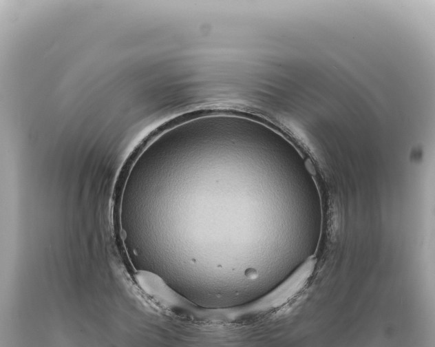 X0000089370932200706221218