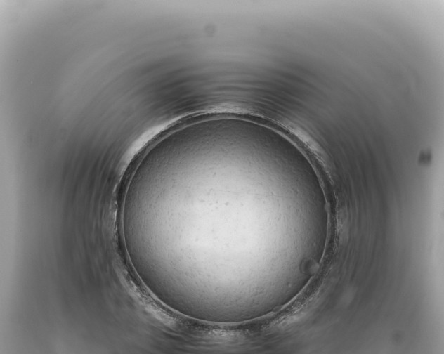 X0000089370933200706221218
