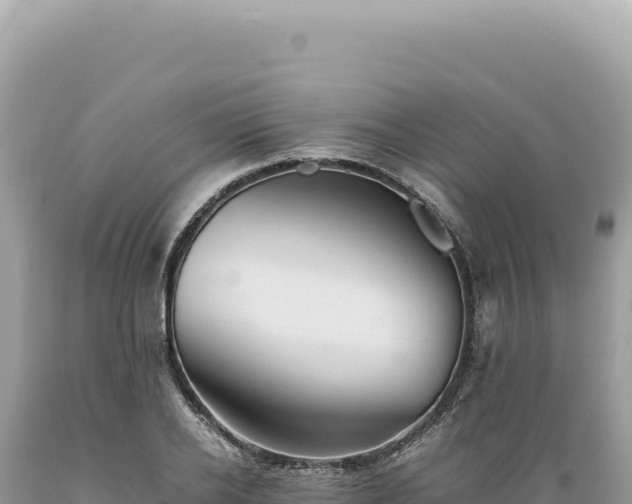 X0000089370934200706221218