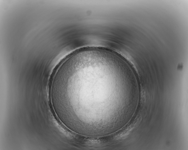 X0000089370935200706221218