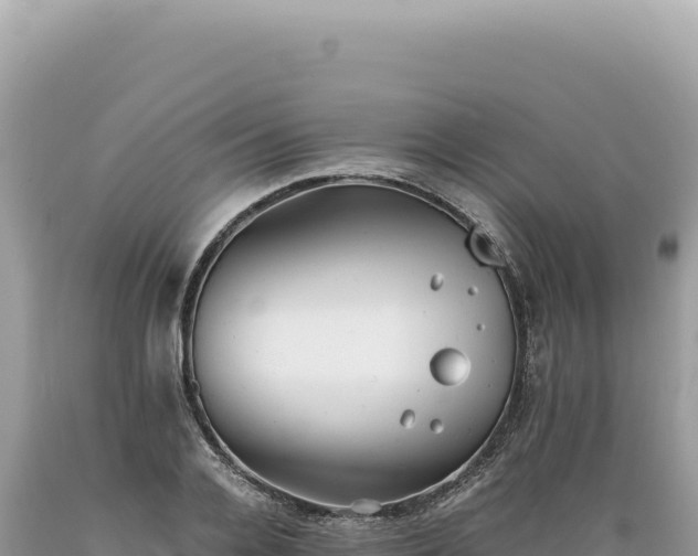 X0000089370936200706221218