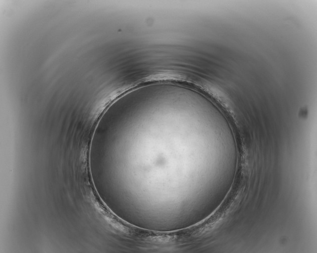 X0000089370937200706221218