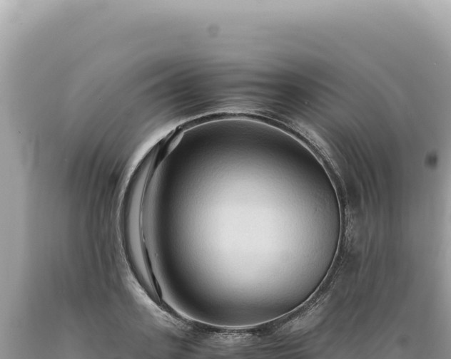 X0000089370939200706221218
