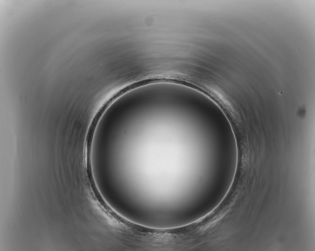 X0000089370940200706221218