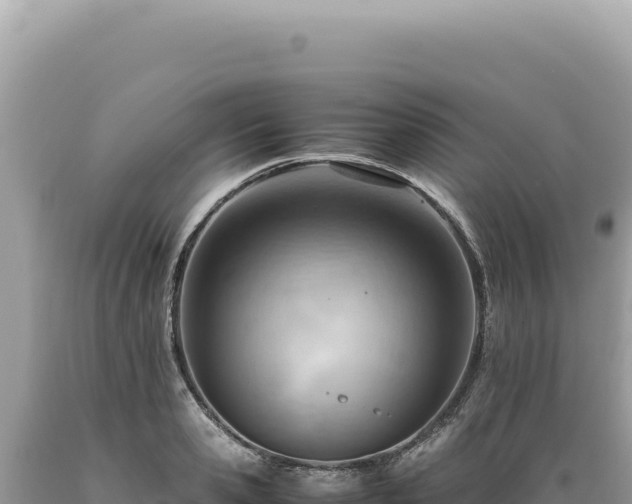X0000089370941200706221218