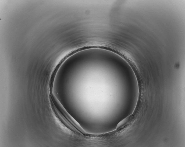 X0000089370942200706221218