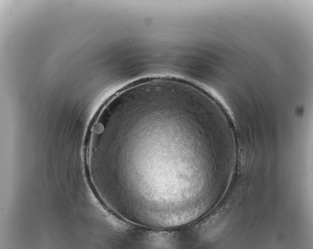X0000089370943200706221218