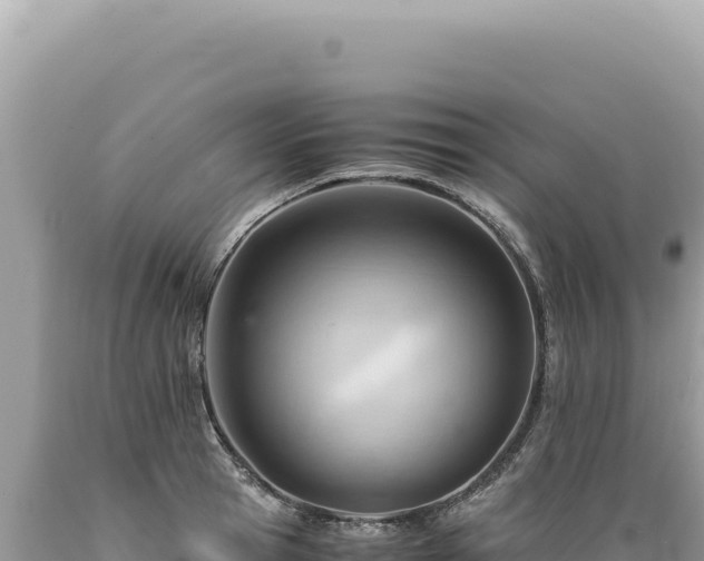 X0000089370945200706221218