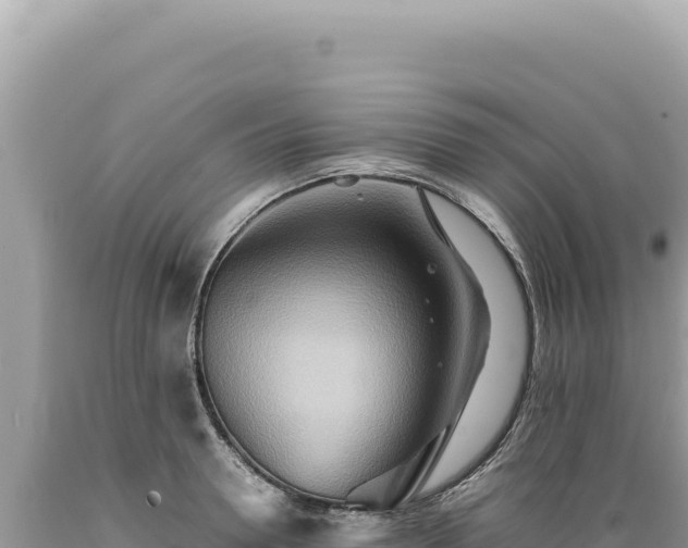X0000089370946200706221218
