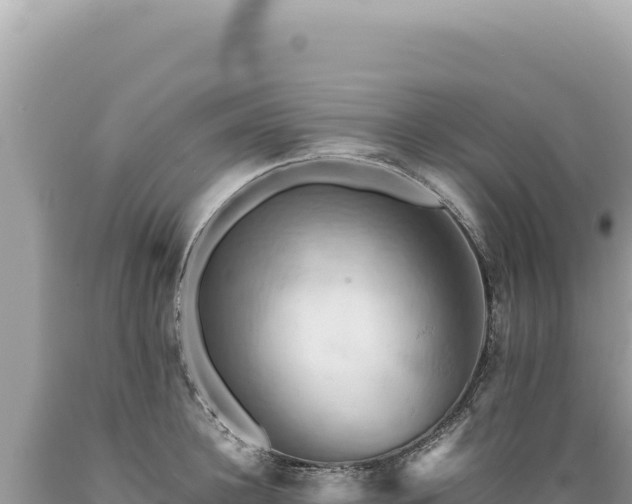 X0000089370948200706221218