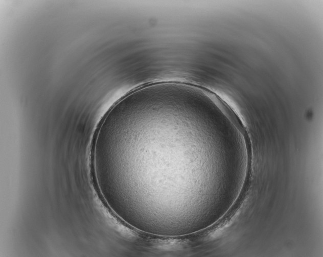 X0000089370949200706221218