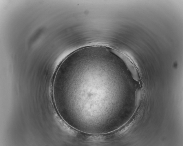 X0000089370952200706221219