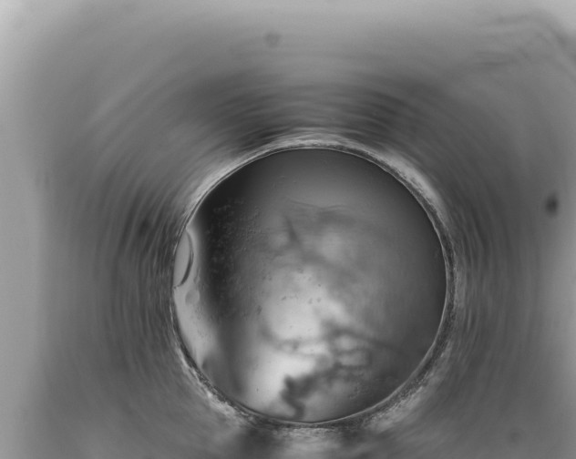 X0000089370953200706221219