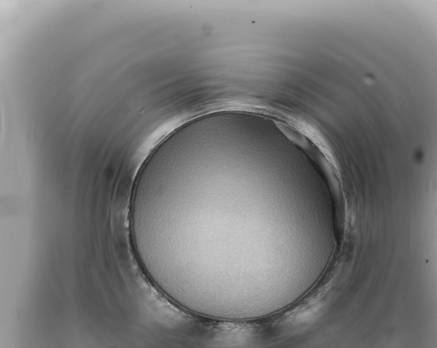 X0000089370954200706221219