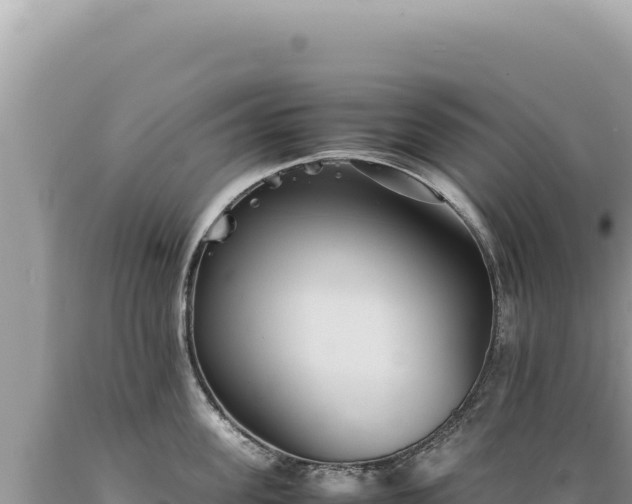 X0000089370955200706221219