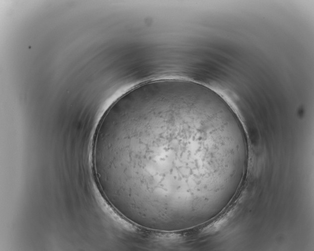 X0000089370957200706221219