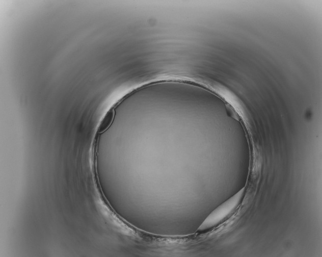 X0000089370958200706221219