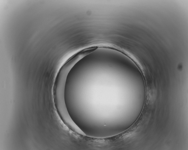 X0000089370959200706221219