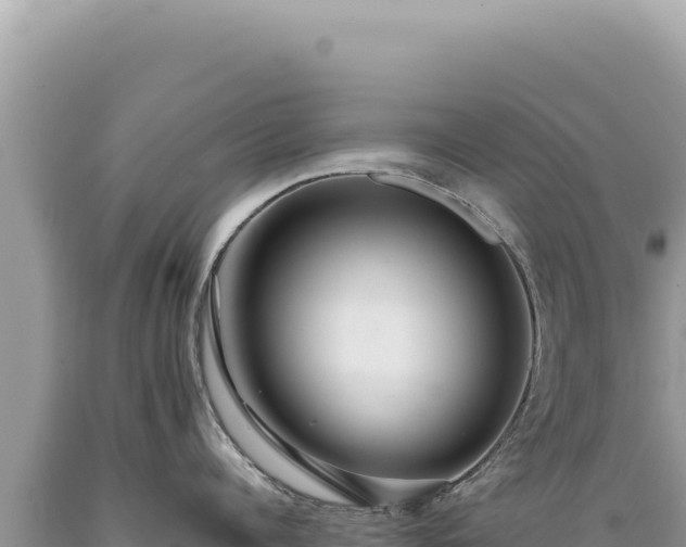 X0000089370960200706221219