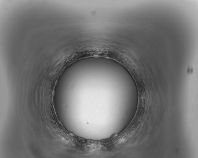 X0000089370961200706221218