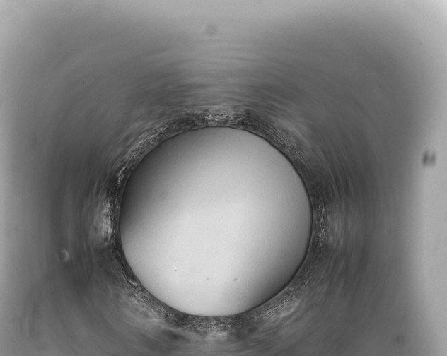 X0000089370962200706221218