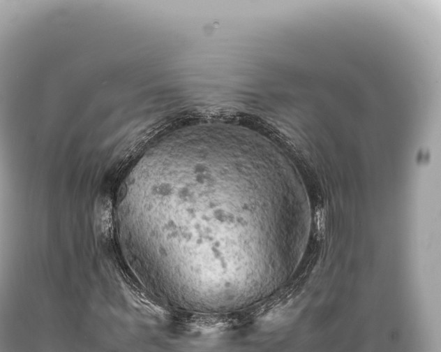 X0000089370963200706221218
