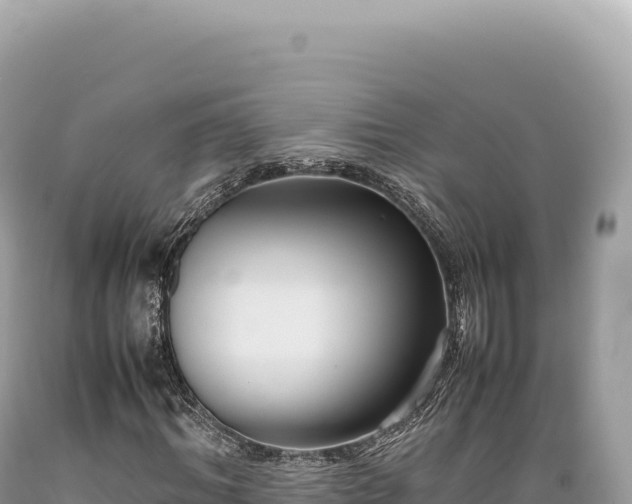 X0000089370964200706221218