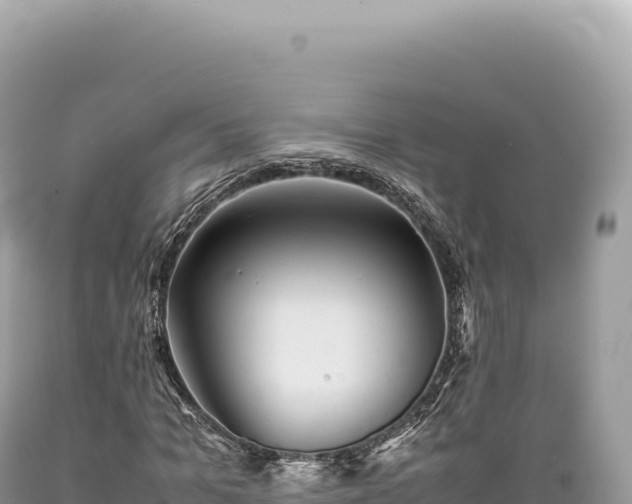 X0000089370965200706221218