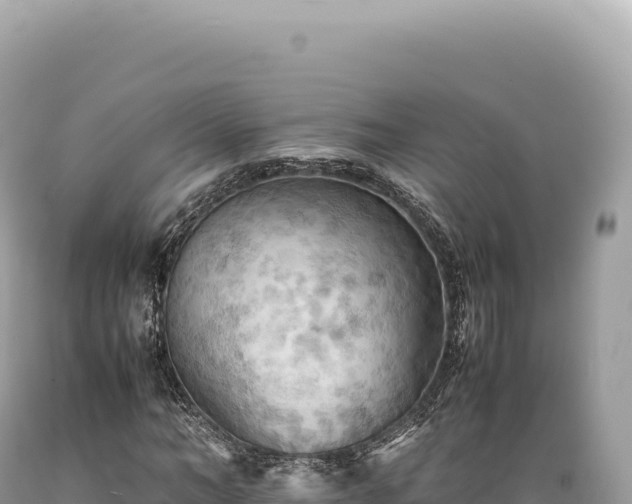 X0000089370966200706221218