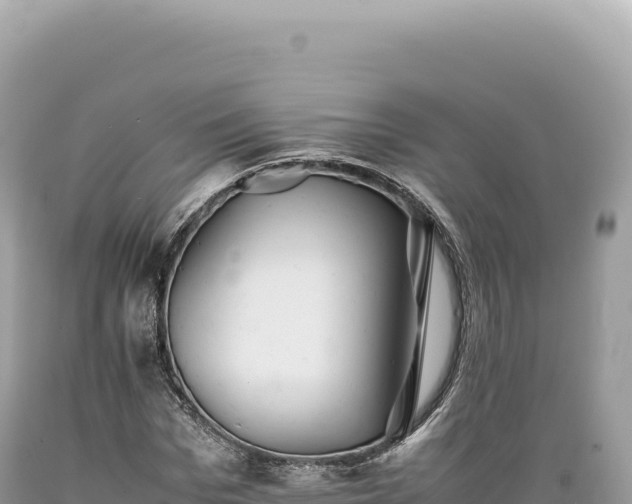 X0000089370969200706221218