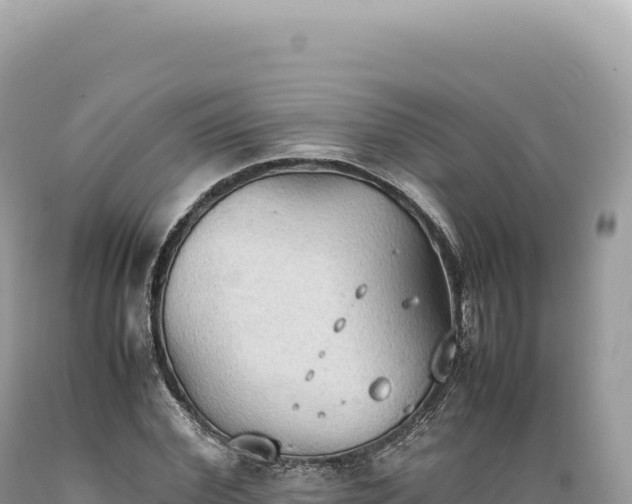 X0000089370972200706221218