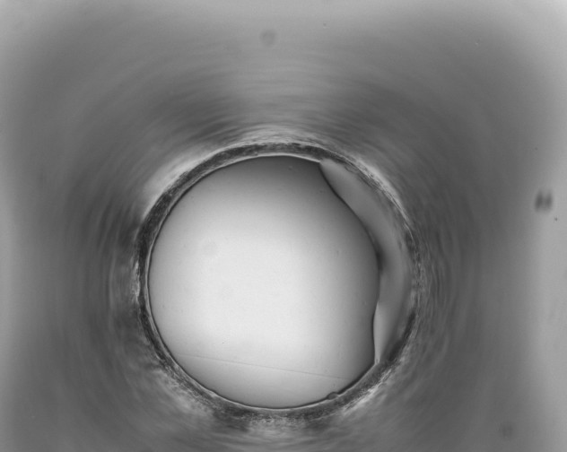 X0000089370973200706221218