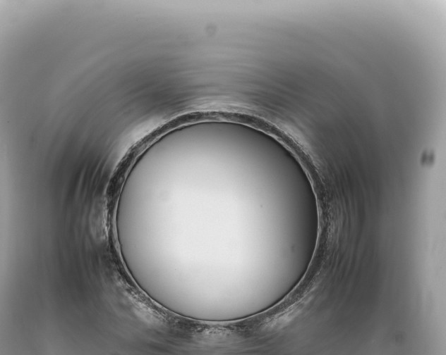 X0000089370974200706221218