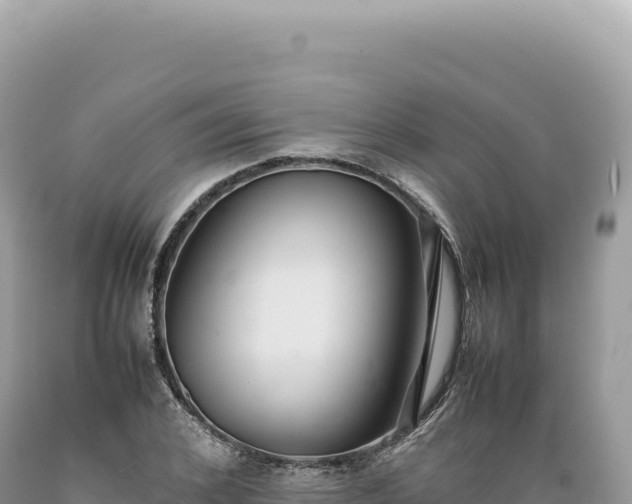 X0000089370976200706221218