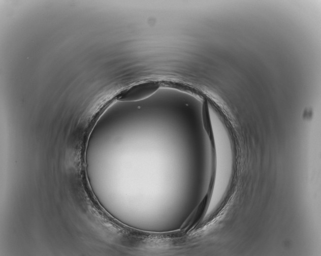 X0000089370977200706221218