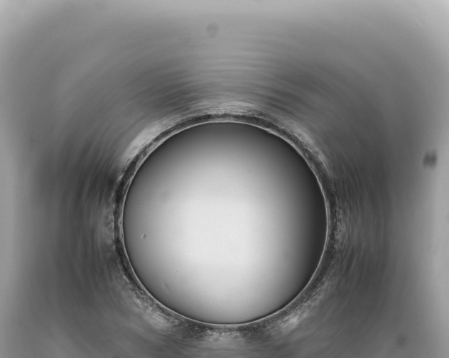 X0000089370978200706221218