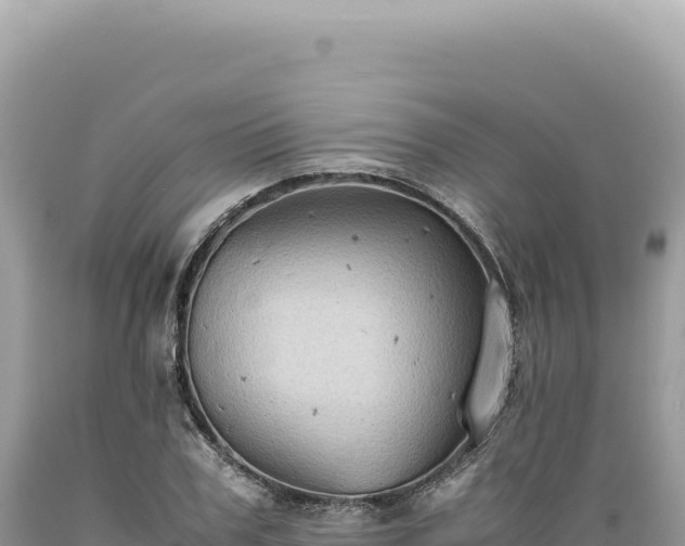 X0000089370979200706221218