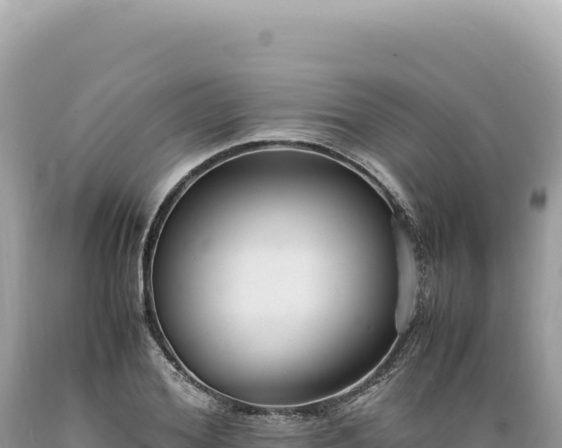 X0000089370980200706221218