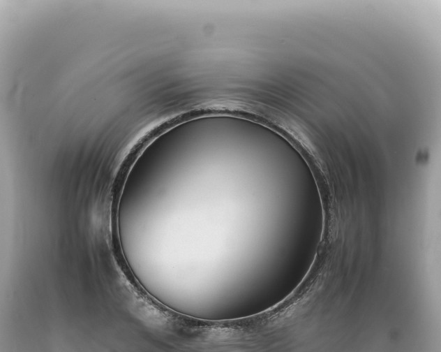 X0000089370984200706221218