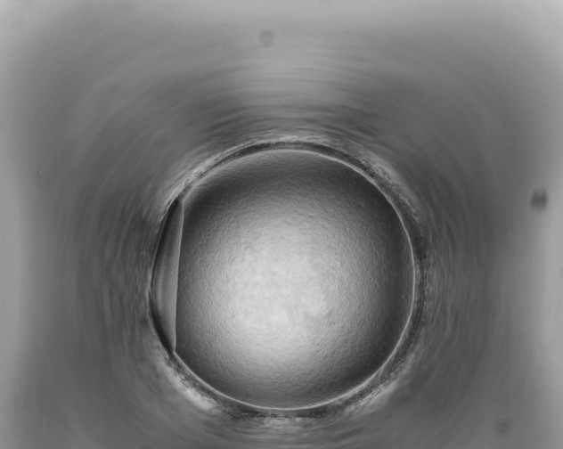X0000089370985200706221218