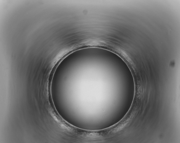 X0000089370986200706221218