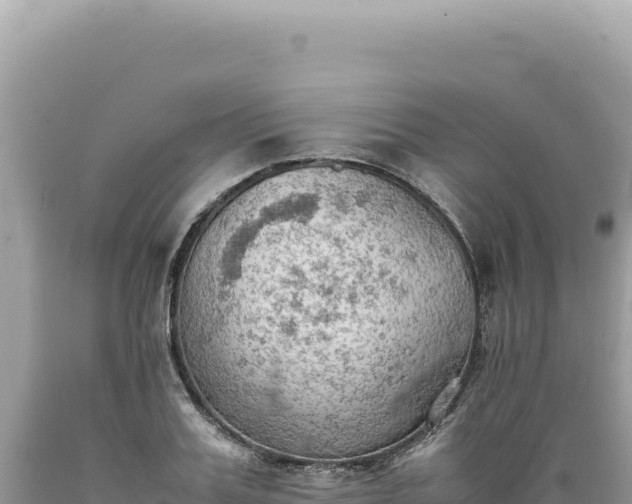 X0000089370987200706221218