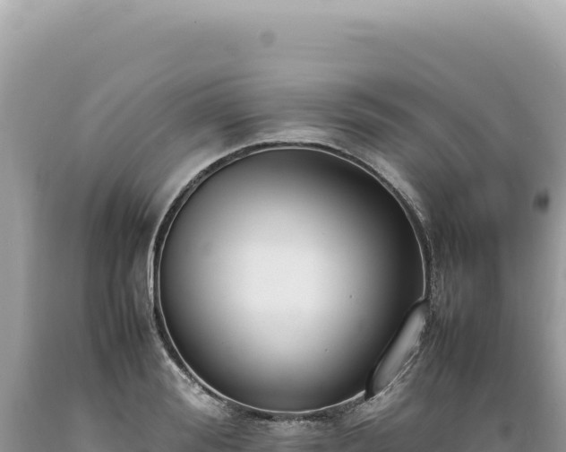 X0000089370988200706221218