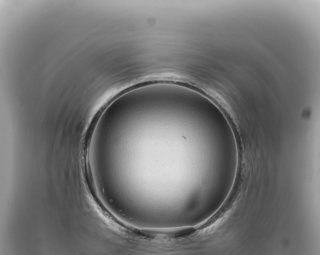 X0000089370989200706221217