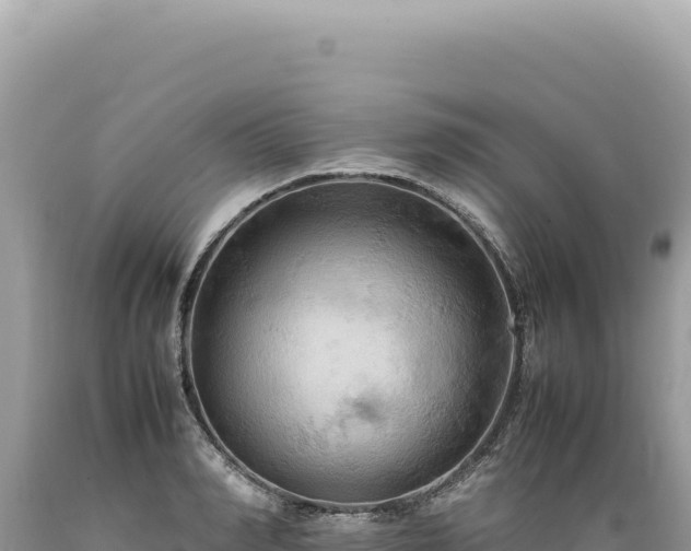 X0000089370990200706221217
