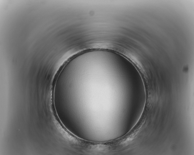 X0000089370992200706221217