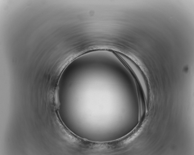 X0000089370993200706221217