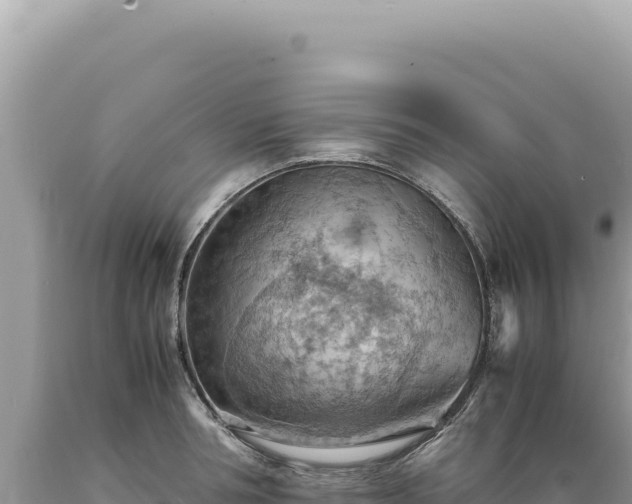 X0000089370994200706221217