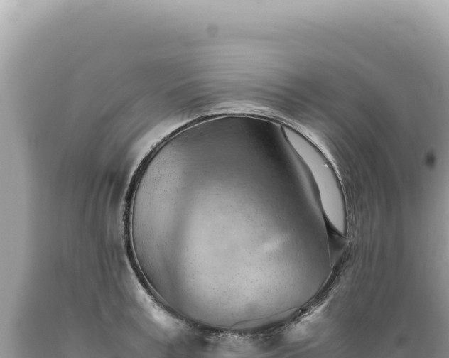 X0000089370995200706221217
